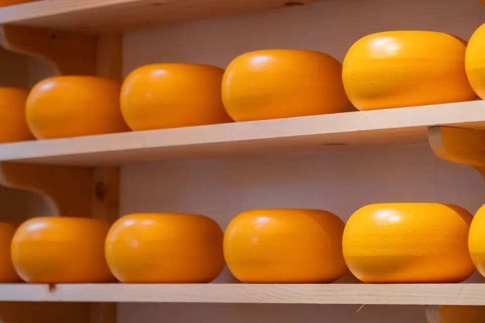 Kaaswielen op de planken